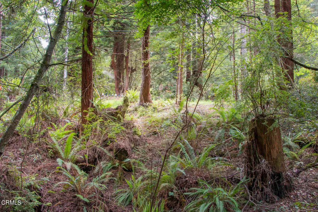 32100 Forest Lane, Fort Bragg, CA — listing photo 1