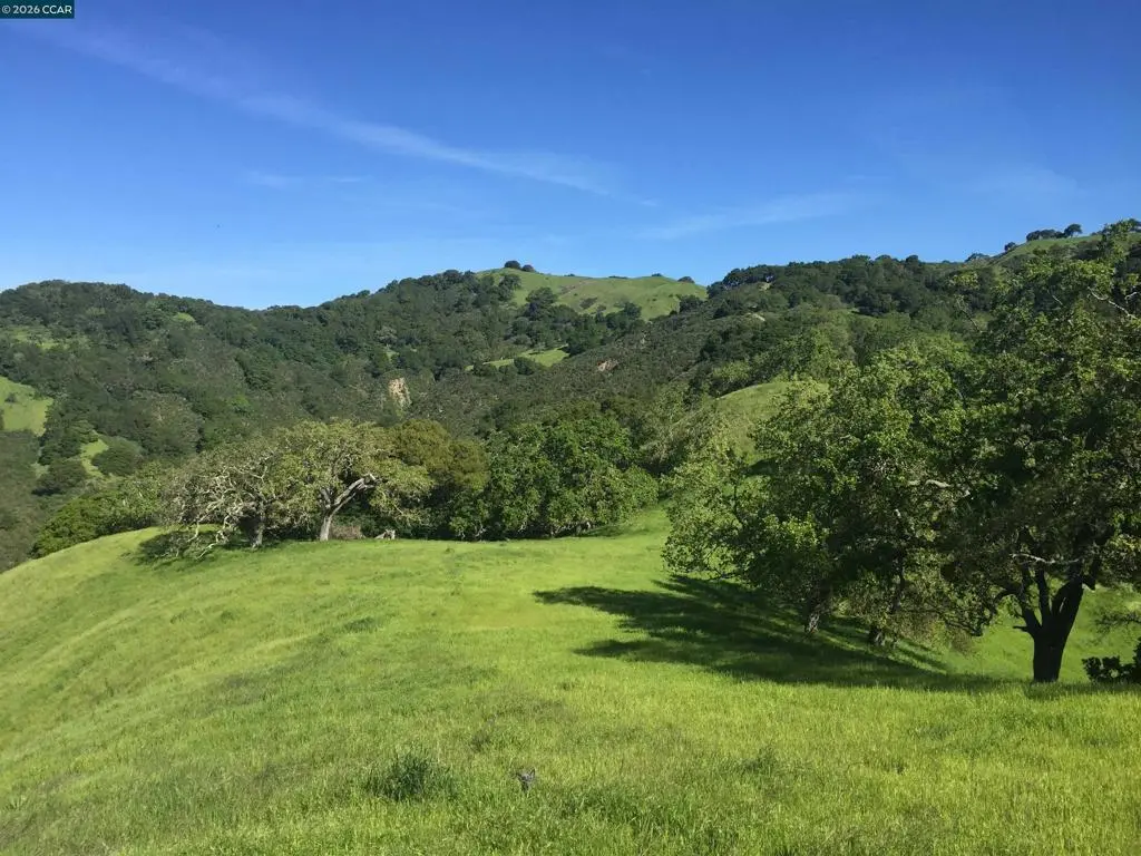 1240 Monticello Rd., Lafayette, CA — listing photo 1