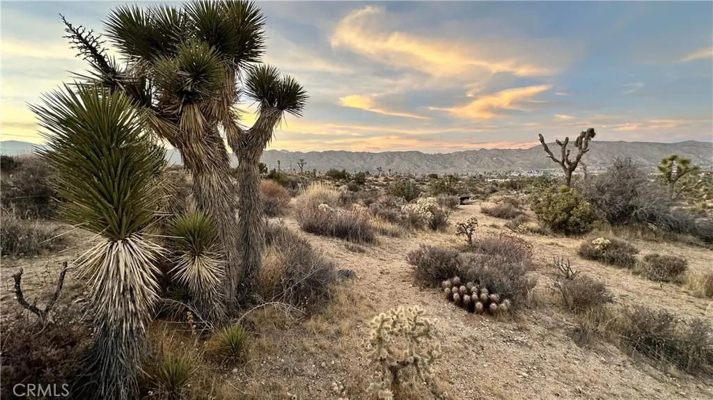 55370 Bunny Road, Yucca Valley, CA — listing photo 1