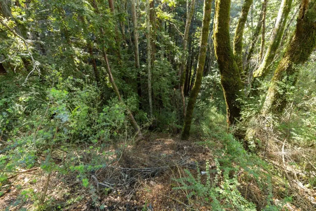 Buckeye Street, Felton, CA — listing photo 1