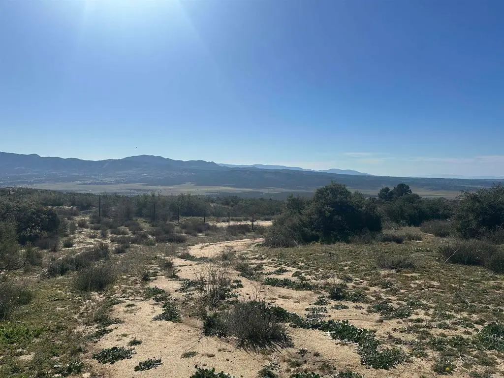 40368 Elm Brush Trail, Anza, CA — listing photo 1