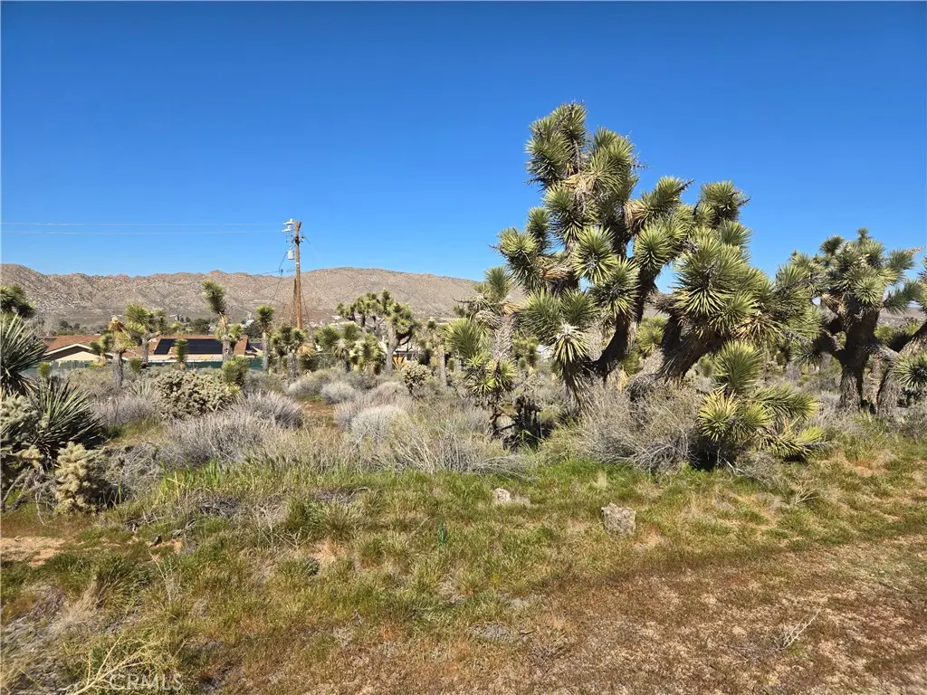 55000 Bunny Road, Yucca Valley, CA — listing photo 1