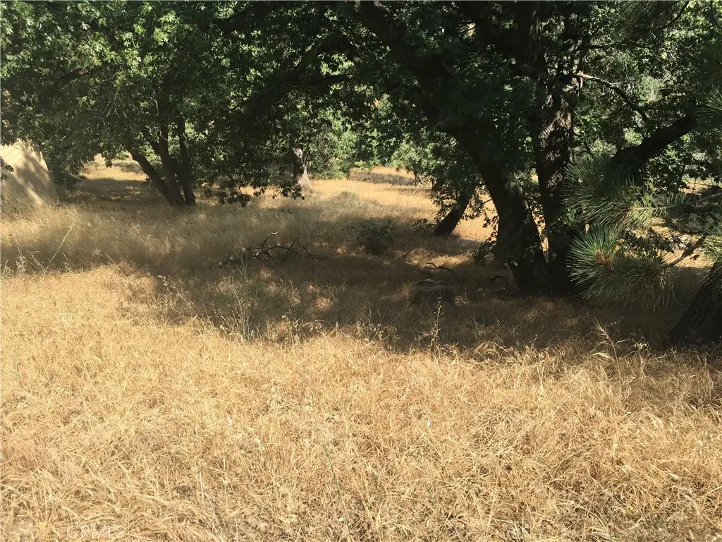 30481 Live Oak, Running Springs, CA — listing photo 1