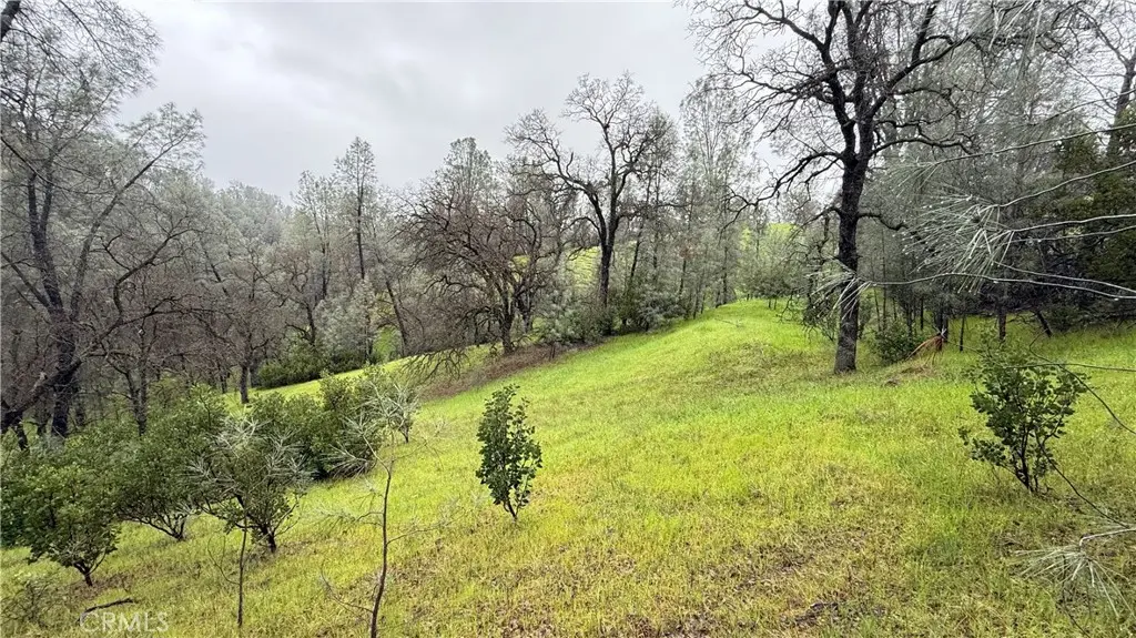 16370 Oakridge Road, Corning, CA — listing photo 1
