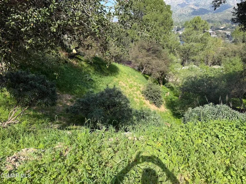 Flora Morgan Trail, Tujunga, CA — listing photo 1
