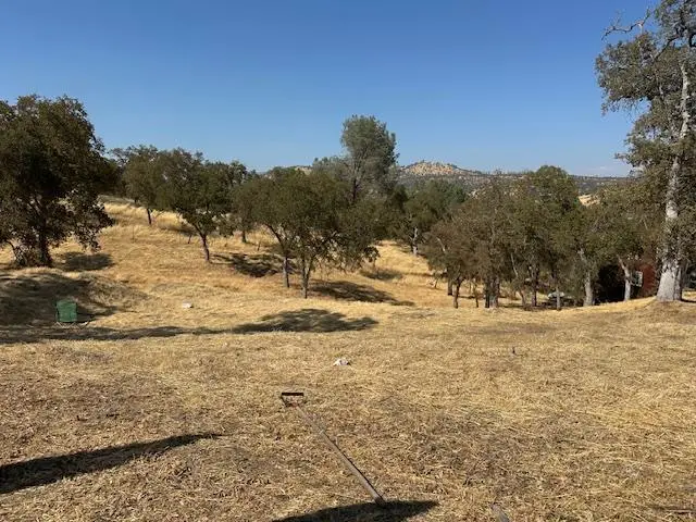 4227 Council Trail, Copperopolis, CA — listing photo 1
