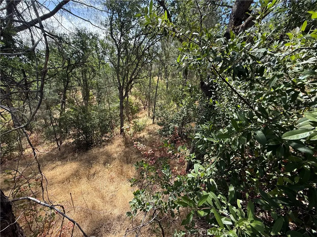 16305 Hillcrest Drive, Corning, CA — listing photo 1