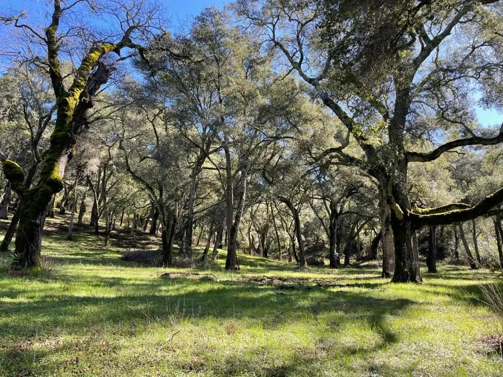 10 Garzas Trail, Carmel, CA — listing photo 1
