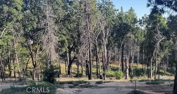 16045 Jordan Hill, Magalia, CA — listing photo 1