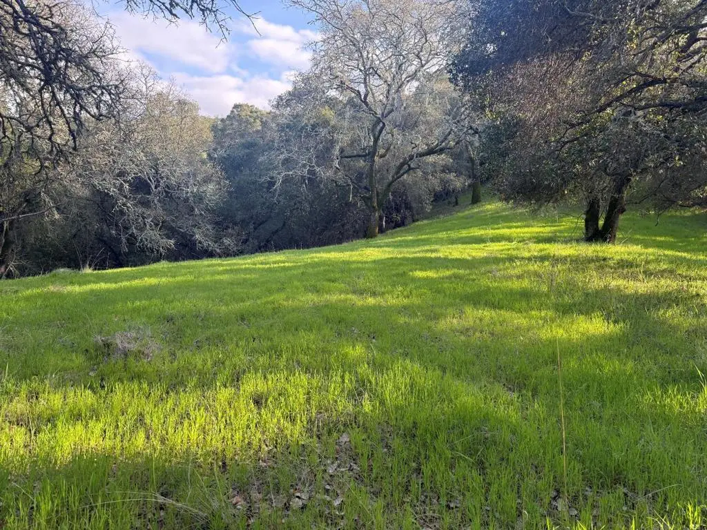 0 Chesbro Lake Drive, Morgan Hill, CA — listing photo 1