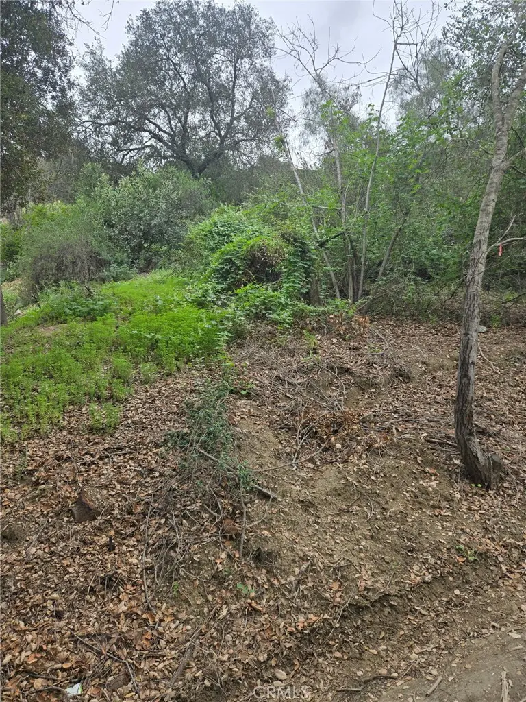 16872 Sumach, Chino Hills, CA — listing photo 1