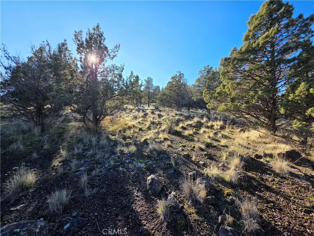 25 Quail Ridge, Weed, CA — listing photo 1
