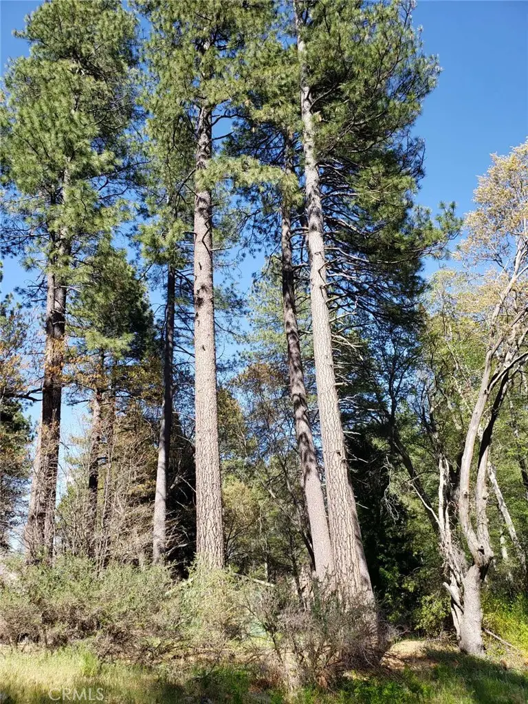 29531 Little Bear Creek Road, Cedar Glen, CA — listing photo 1