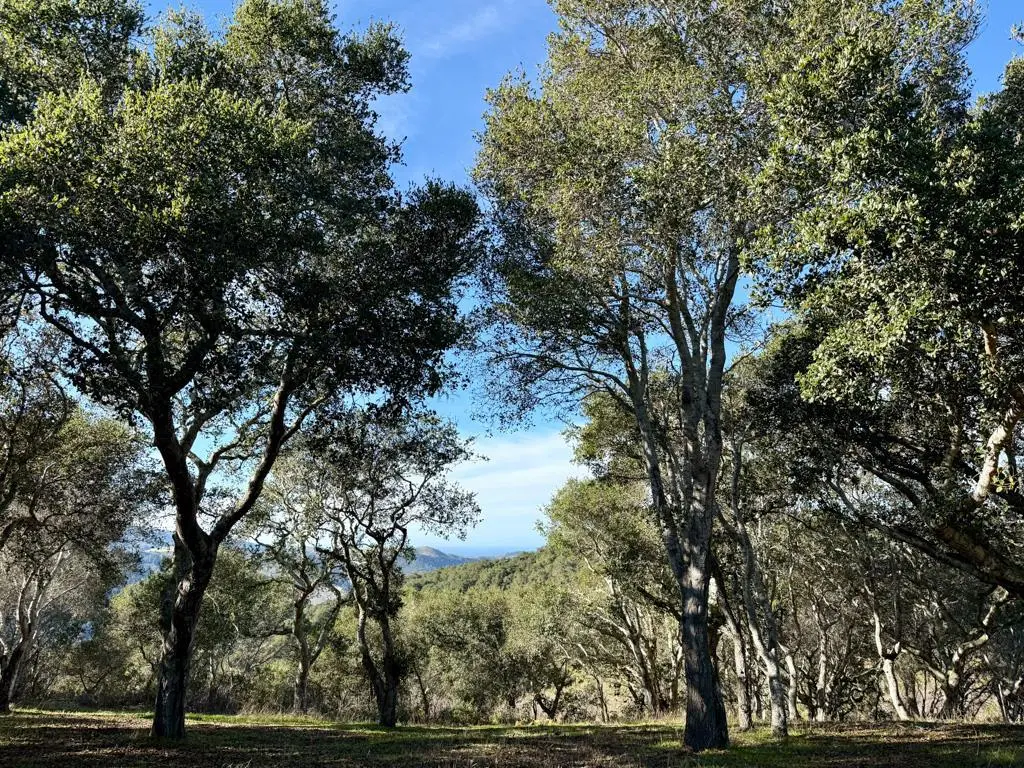 70 Chamisal, Carmel, CA — listing photo 1