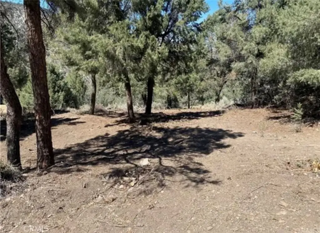 2217 Saint Bernard Drive, Pine Mountain Club, CA — listing photo 1