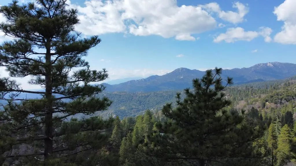 0 Green Craig, Idyllwild, CA — listing photo 1