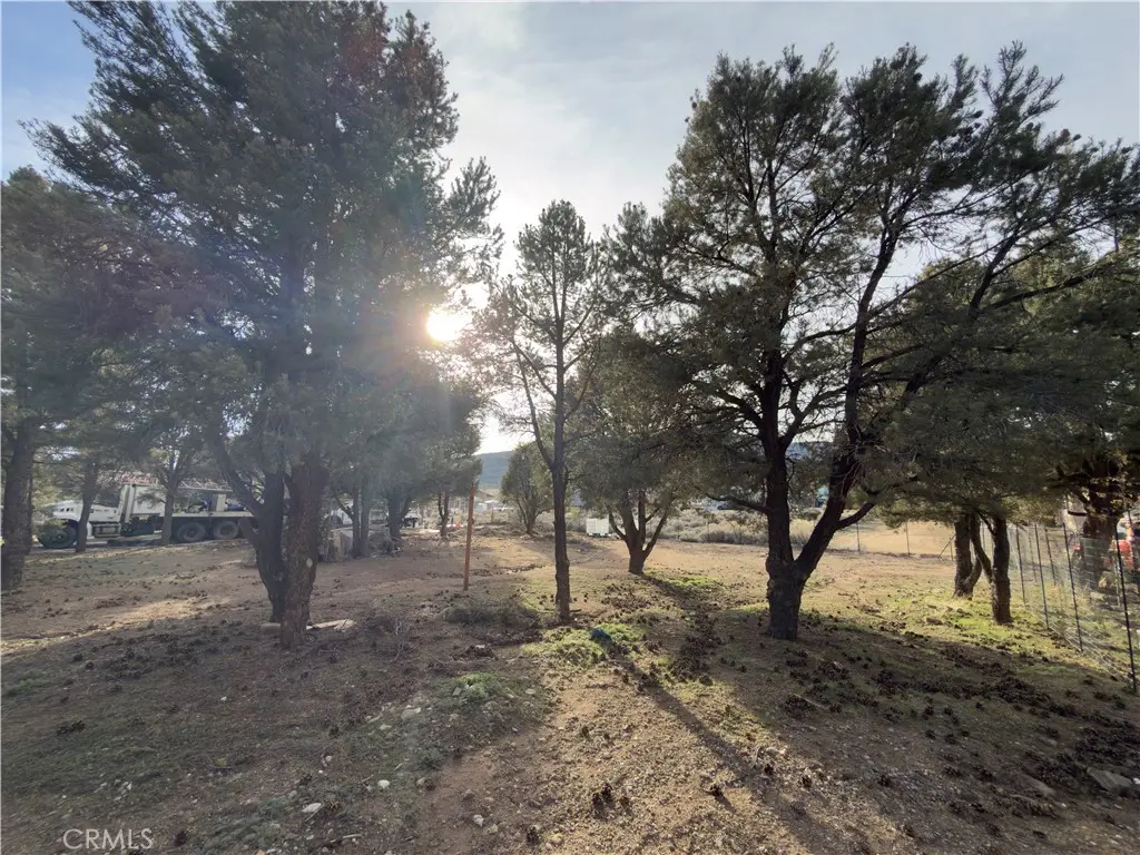 1820 Golden Rod, Big Bear City, CA — listing photo 1