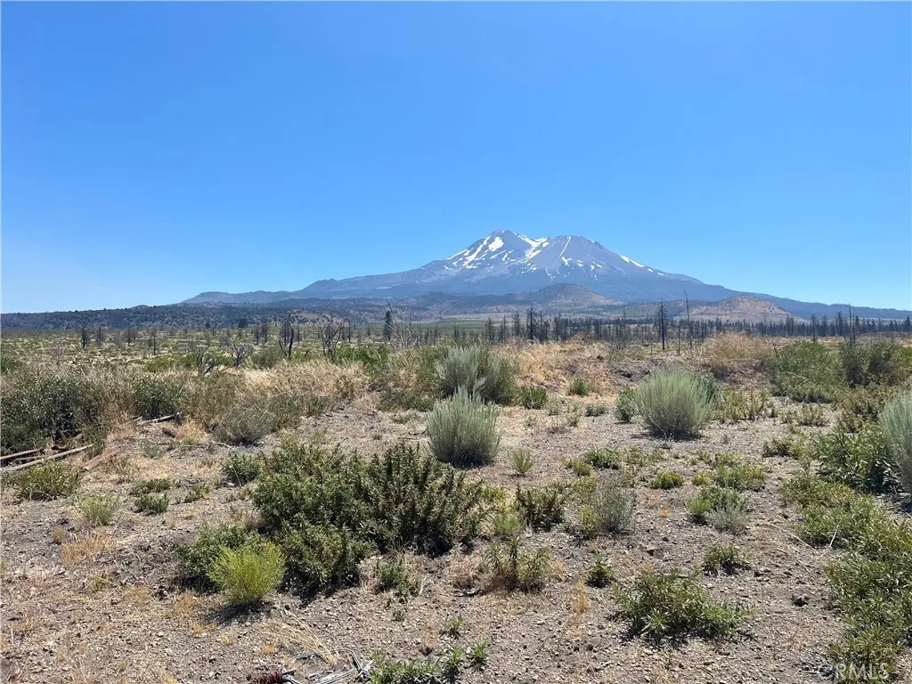 0 Juniper Valley, Weed, CA — listing photo 1