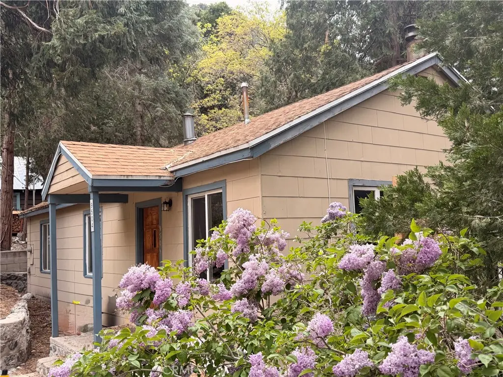 9504 Summit, Forest Falls, CA — listing photo 1