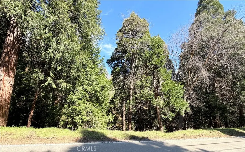 0 Hook Creek, Cedar Glen, CA — listing photo 1