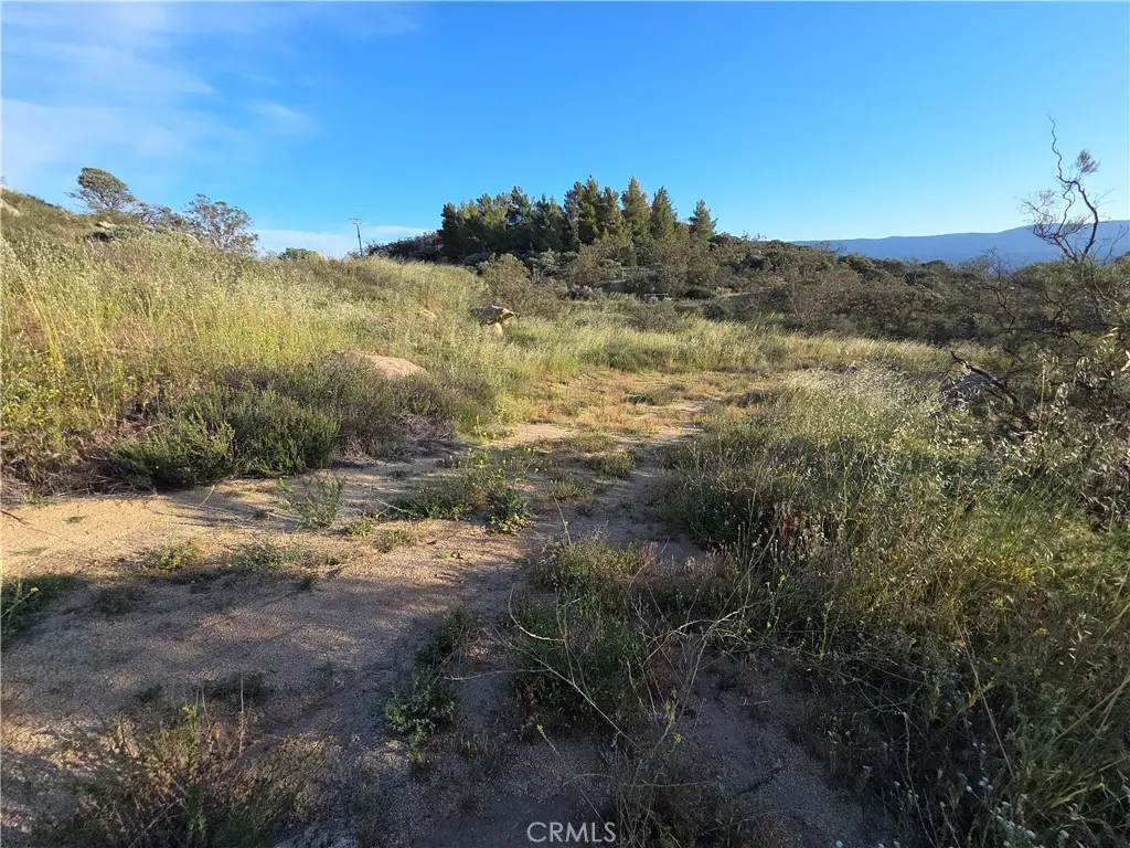 1007 Roan Way, Aguanga, CA — listing photo 1