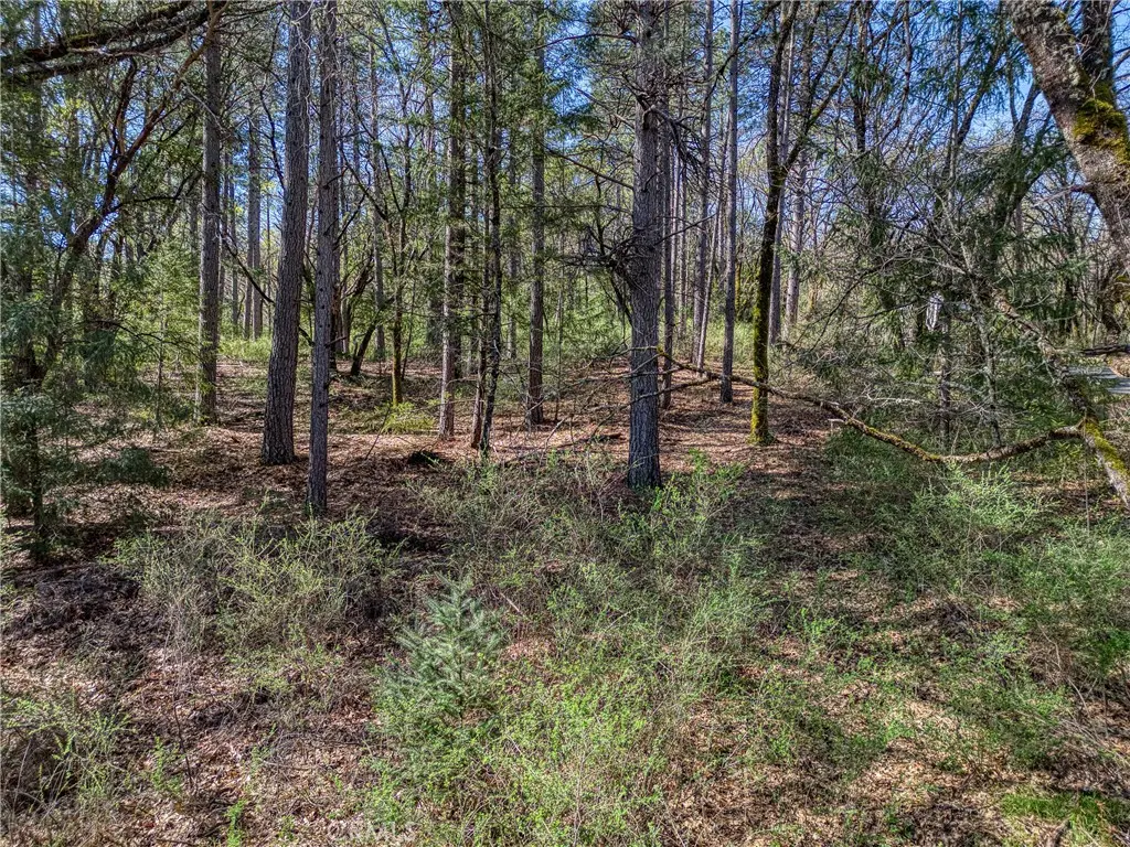 15347 Western Mine, Middletown, CA — listing photo 1