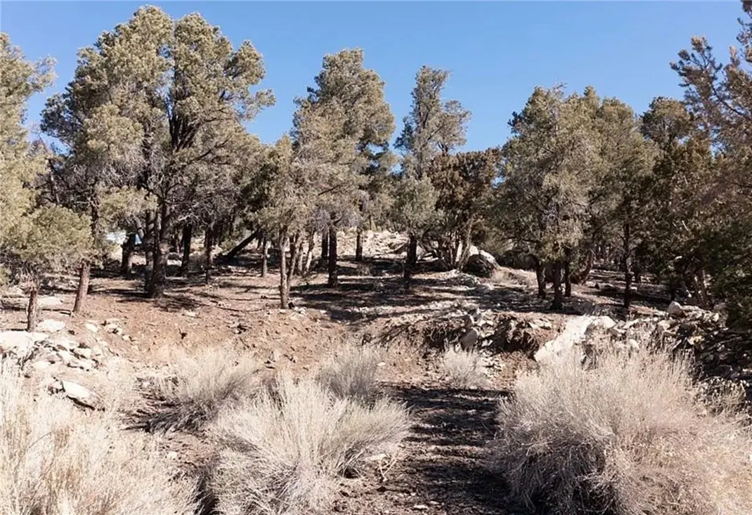 0 Lakeview Drive, Big Bear City, CA — listing photo 1