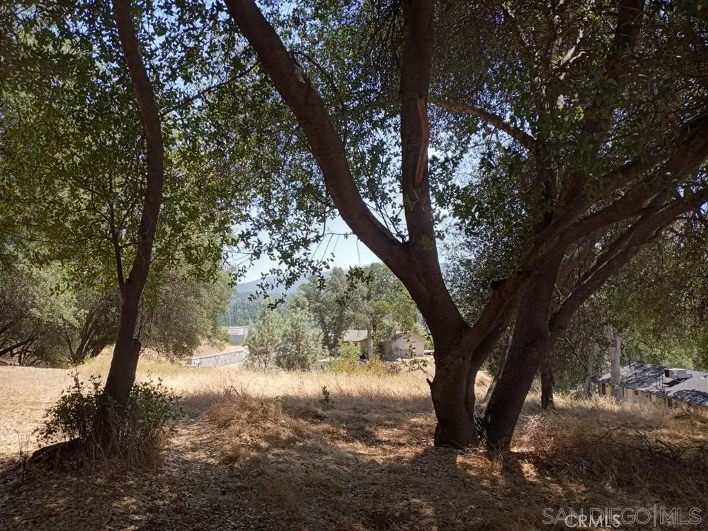 0 Live Oak Drive, Oakhurst, CA — listing photo 1