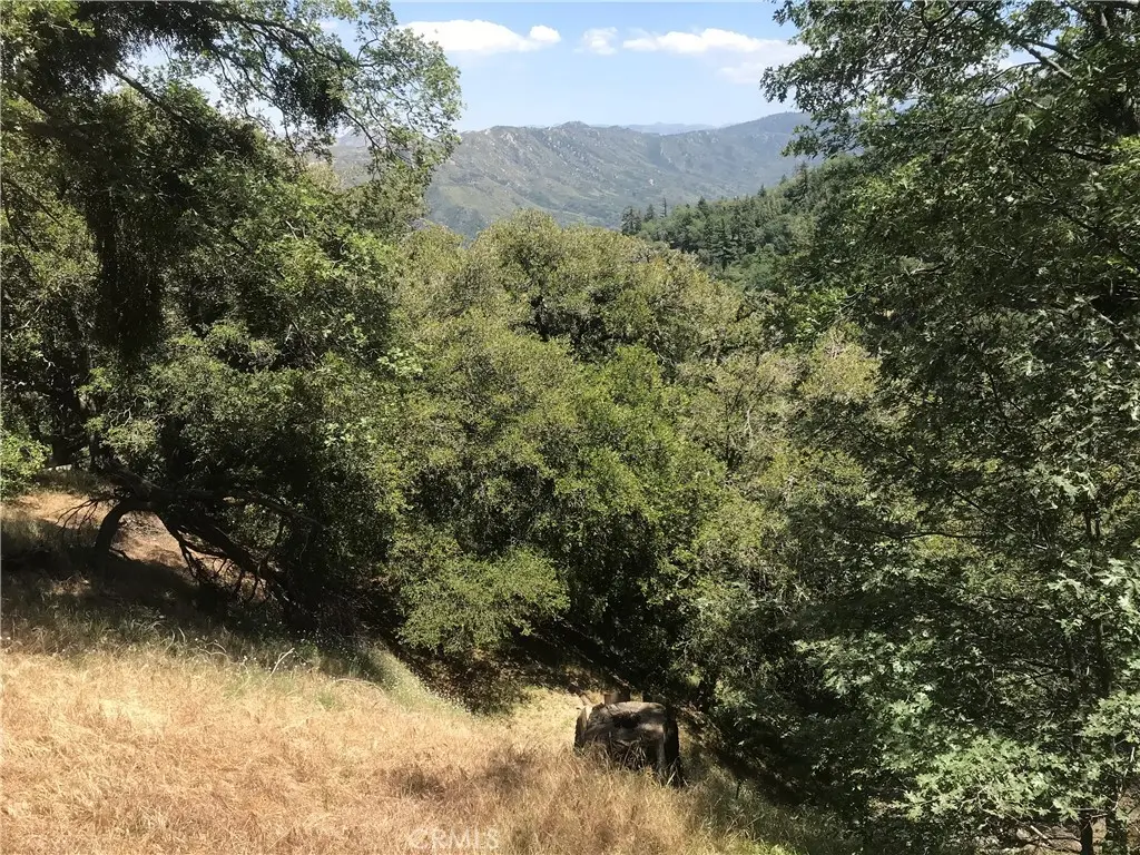 0 Buck Road, Cedarpines Park, CA — listing photo 1