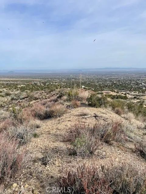 0 none, Pinon Hills, CA — listing photo 1