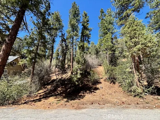 0 E Rainbow Boulevard, Big Bear City, CA — listing photo 1