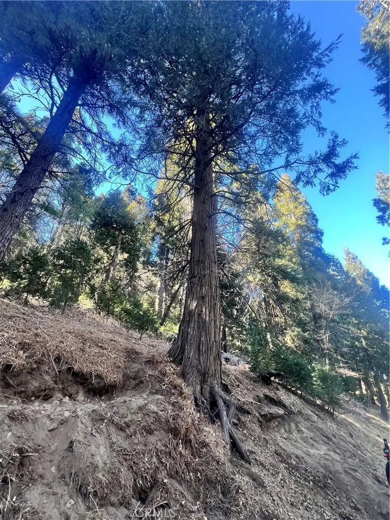 0 Reservoir, Cedarpines Park, CA — listing photo 1
