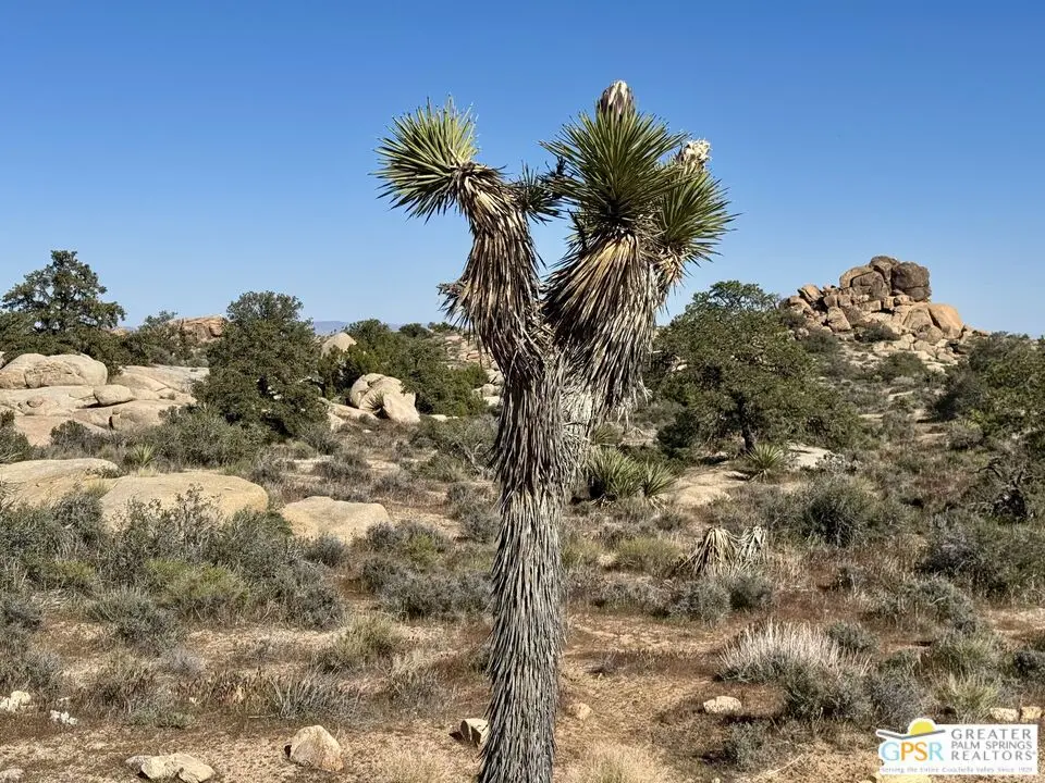900 Parsons Ranch Road, Pioneertown, CA — listing photo 1