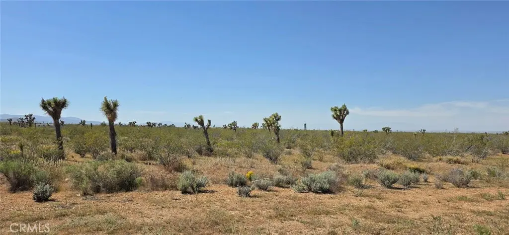 0 173rd E W-12, Llano, CA — listing photo 1