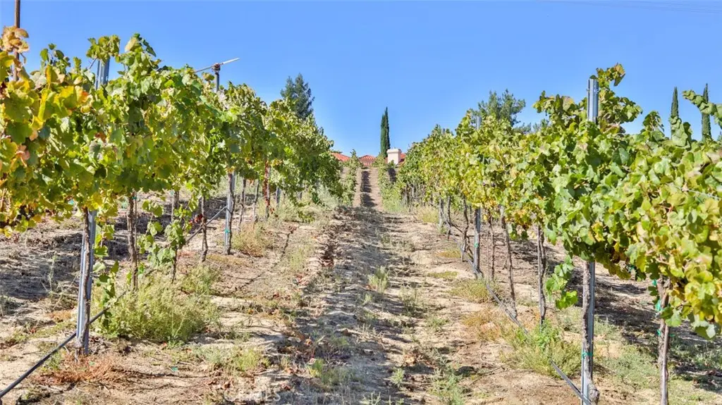 0 Valle Toscana Ct, Temecula, CA — listing photo 1