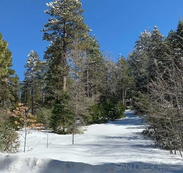 0 Laurel Trail, Idyllwild, CA — listing photo 1