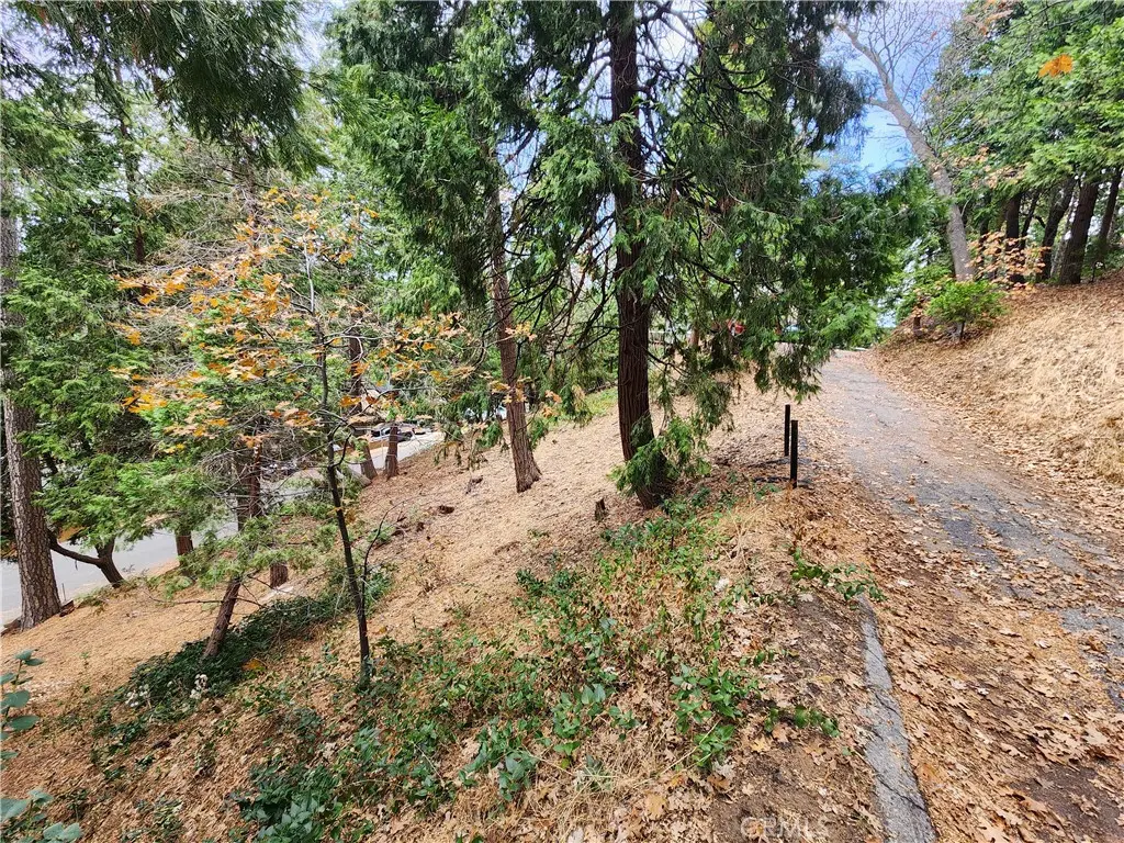 24397 Horst Drive, Crestline, CA — listing photo 1