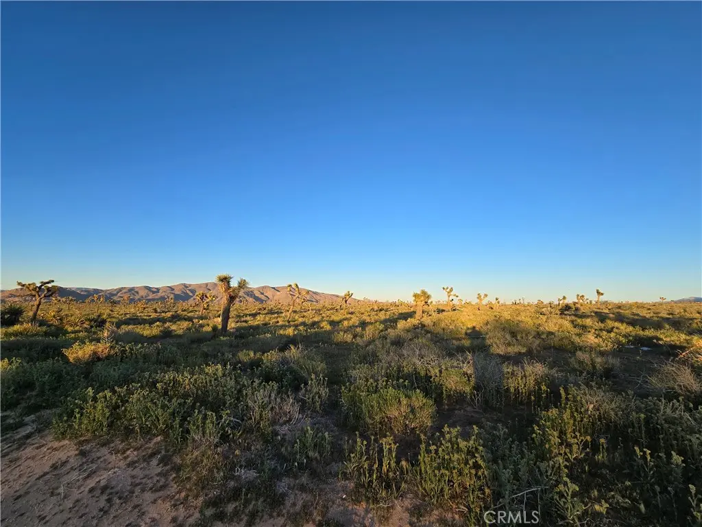 55 Japatul Road, Apple Valley, CA — listing photo 1
