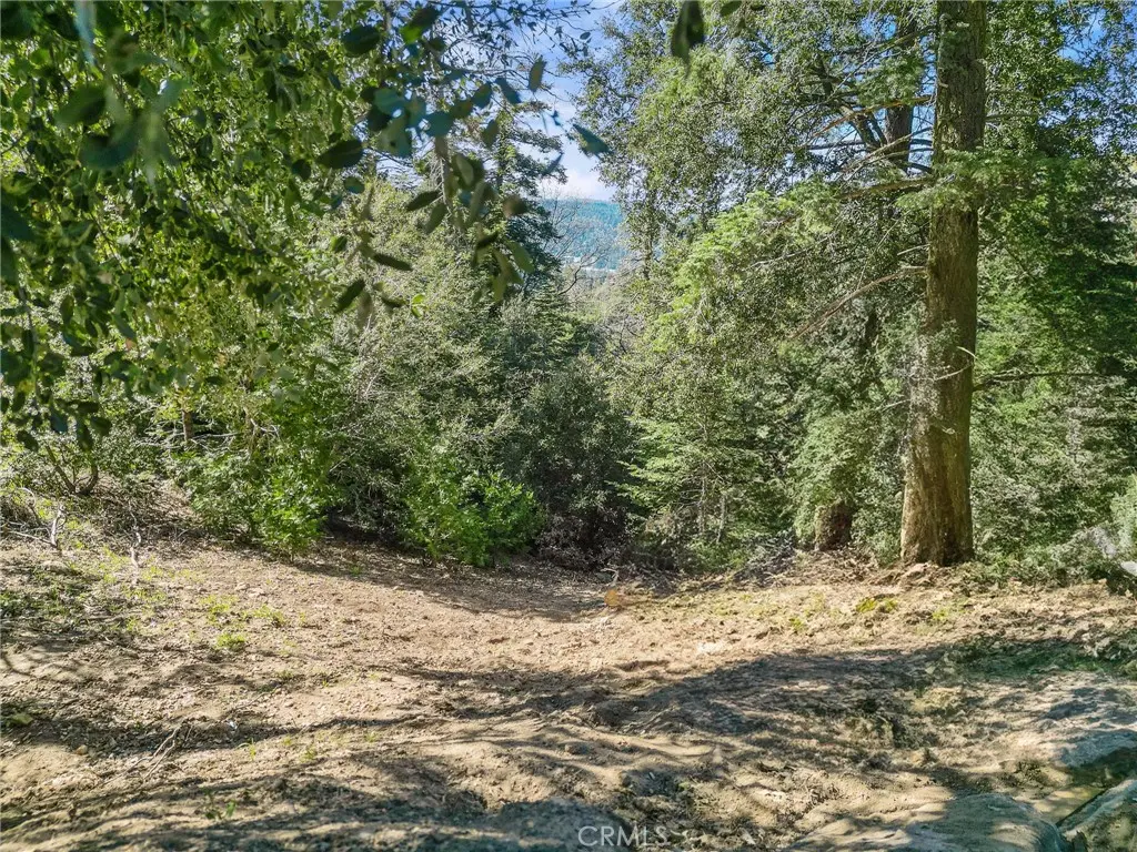 0 Chateau, Crestline, CA — listing photo 1