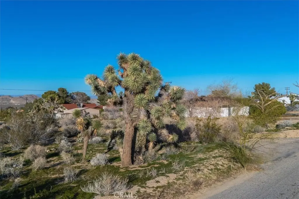 60432 Latham Trail, Joshua Tree, CA — listing photo 1