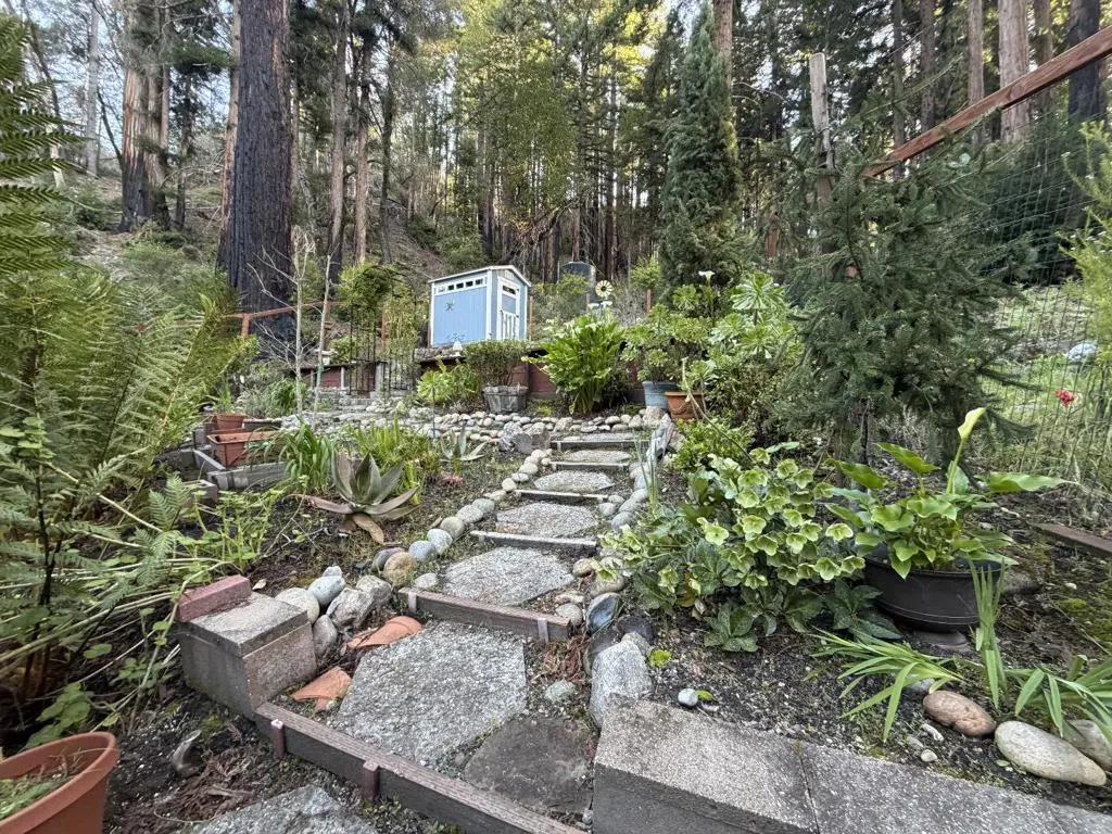 535 Burnside, Boulder Creek, CA — listing photo 1