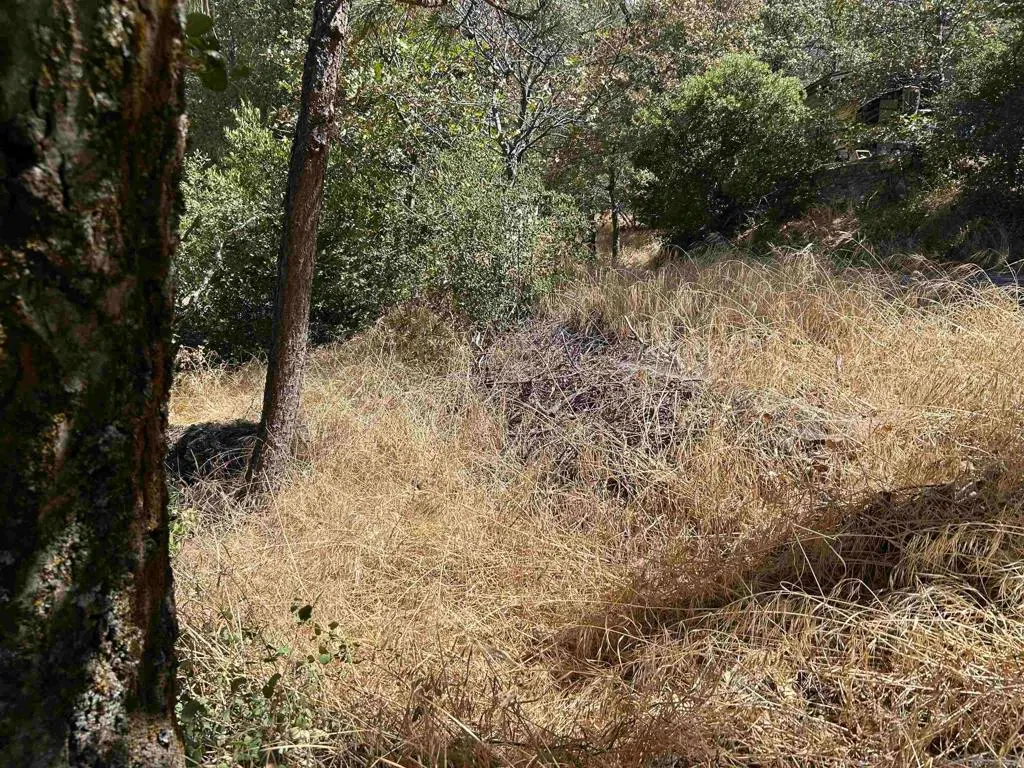 0 Whispering Pines Drive, Julian, CA — listing photo 1
