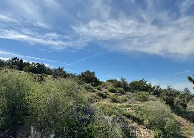 0 Snow Valley rd., Pinon Hills, CA — listing photo 1