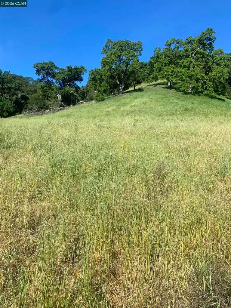Toyon Road, Lafayette, CA — listing photo 1
