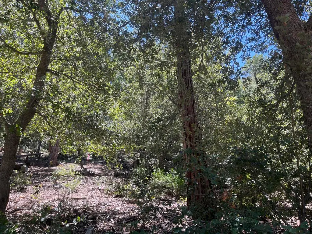 0 Middleridge Drive, Idyllwild, CA — listing photo 1