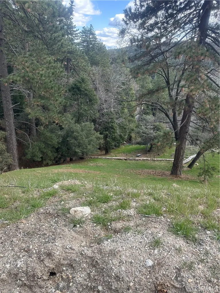 0 Fern Canyon, Cedarpines Park, CA — listing photo 1