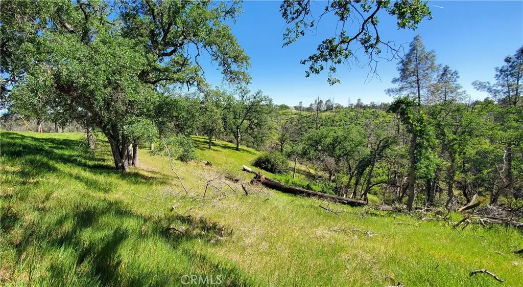 15687 Stagecoach, Corning, CA — listing photo 1