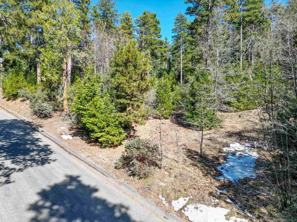 0 Laurel Trail Lot, Idyllwild, CA — listing photo 1