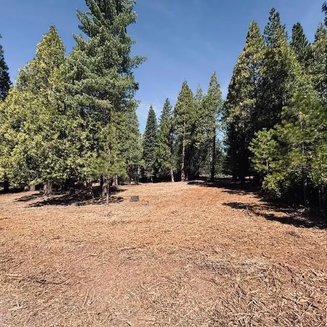 790 Red River Drive, Lake Almanor, CA — listing photo 1