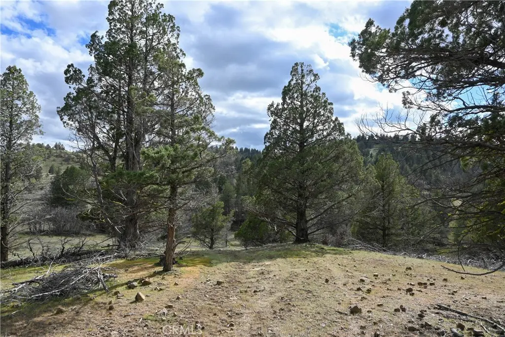 0 Willit Way, Montague, CA — listing photo 1